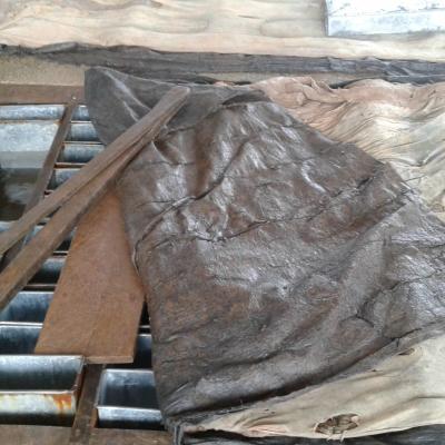 20200127_112642 (Grand)