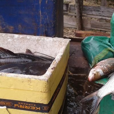 20200127_112855 (Grand)