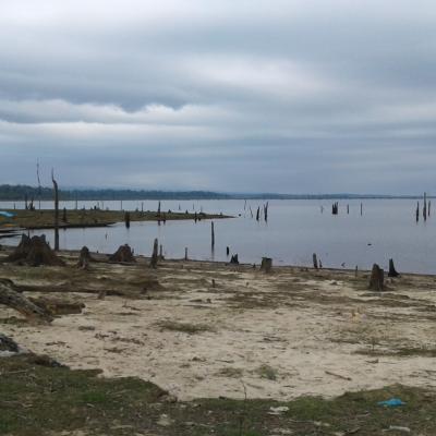 20200127_113029 (Grand)