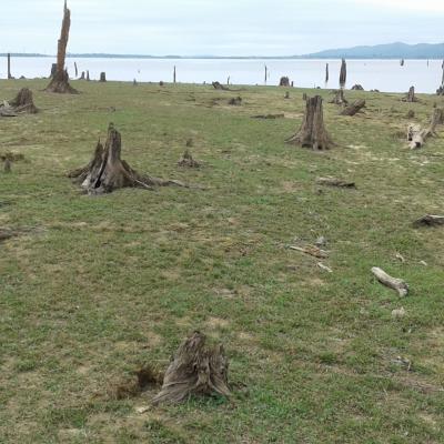 20200127_113438 (Grand)