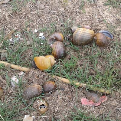 20200127_114220 (Grand)