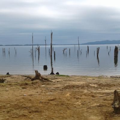 20200127_115232 (Grand)