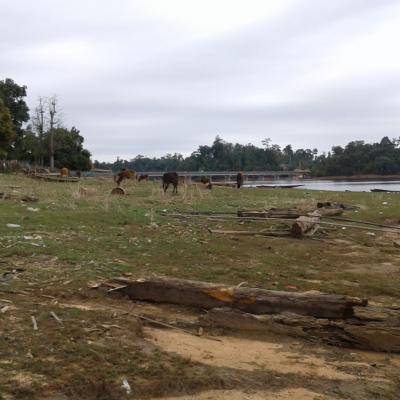 20200127_120641 (Grand)