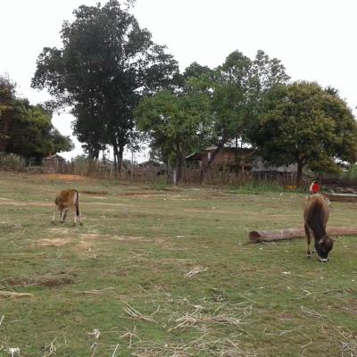 20200127_120729 (Grand)